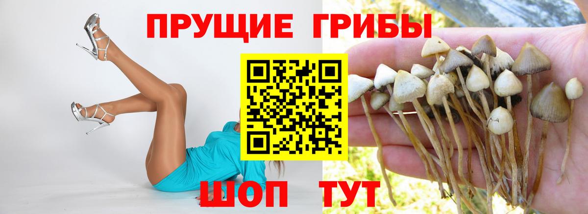 Галлюциногенные грибы мухоморы  Вход с VPN  Луга  Псилоцибиновые грибы мухоморы 